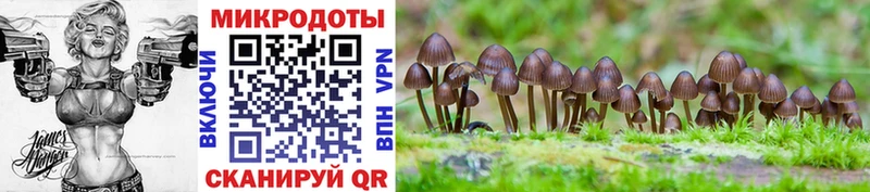 OMG маркетплейс  Лысково  Галлюциногенные грибы MAGIC MUSHROOMS 